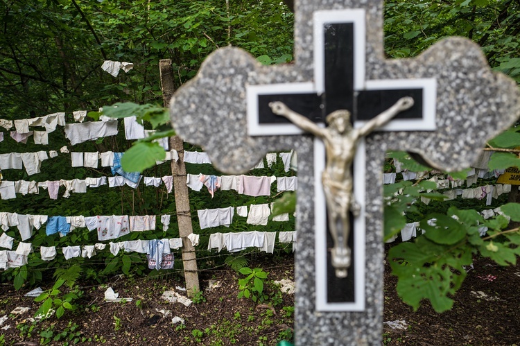 Perły z listy UNESCO. Puszcza Białowieska