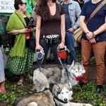 Manifestacje w obronie Puszczy Białowieskiej