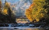 Zakarpacie słynie z wód. Tych mineralnych, jak i tych w czystych rzekach i górskich jeziorach.