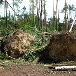 Po trąbie powietrznej 