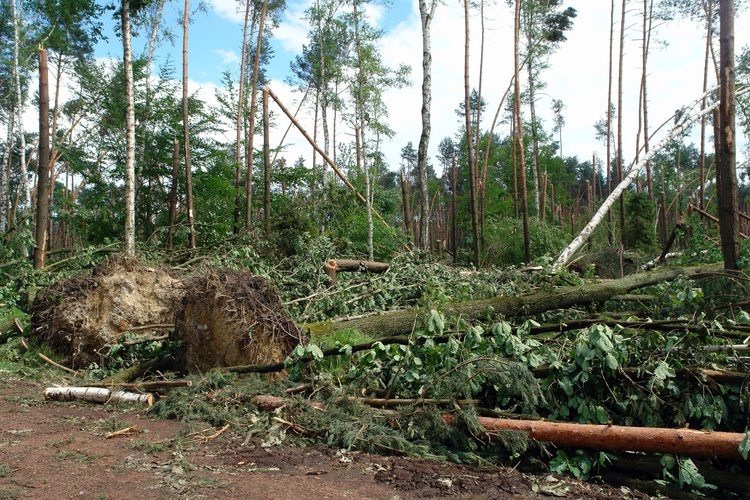 Po trąbie powietrznej 