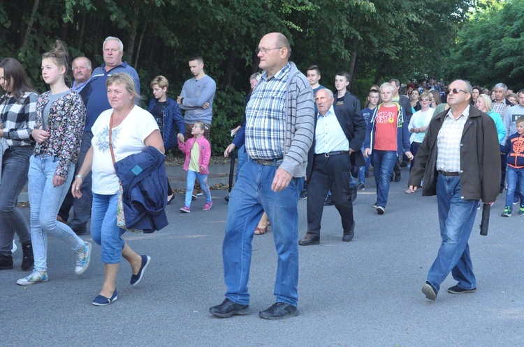 Z Trzetrzewiny i Brzeznej na Strzyganiec