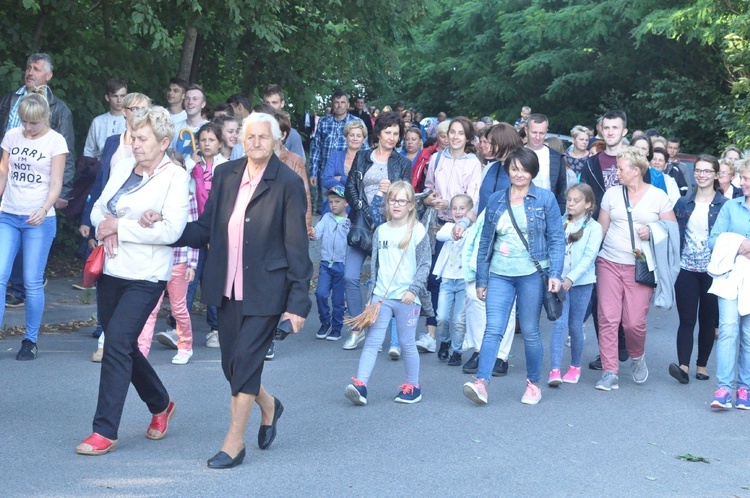 Z Trzetrzewiny i Brzeznej na Strzyganiec