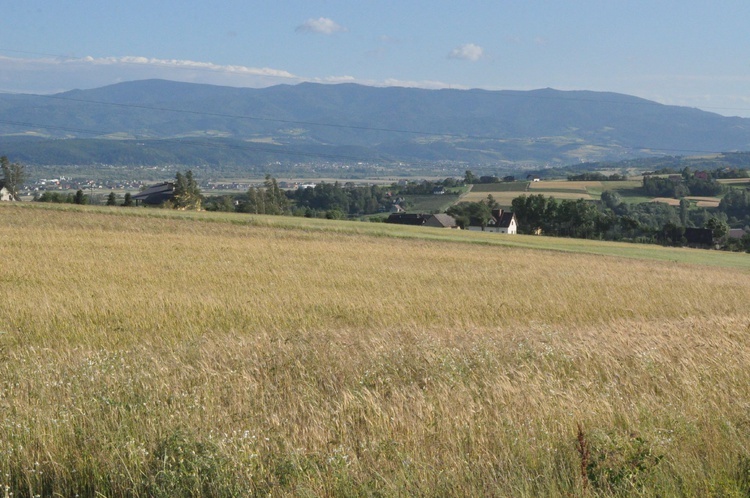 Z Trzetrzewiny i Brzeznej na Strzyganiec