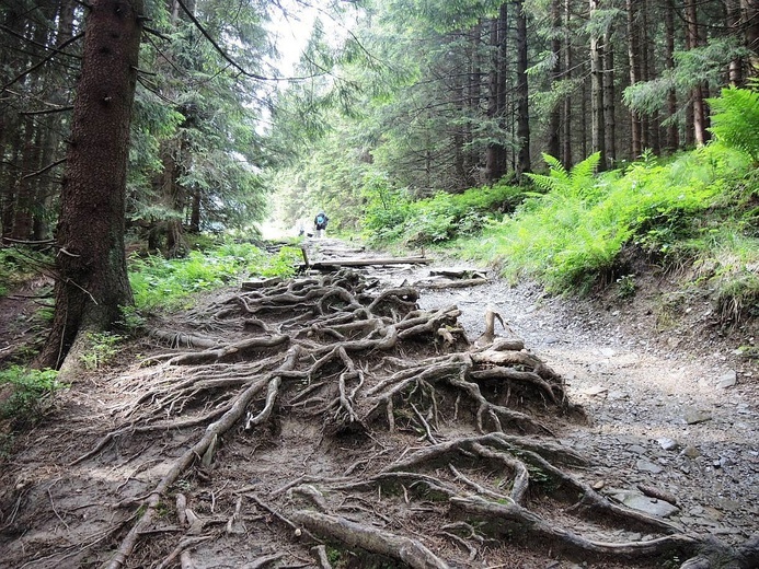 Pilsko (Hala Miziowa) - 5. Ewangelizacja w Beskidach