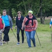 Nordic Walking w Starym Krakowie