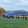 Pielgrzymi w drodze z Zimnej Wódki na Górę Świętej Anny