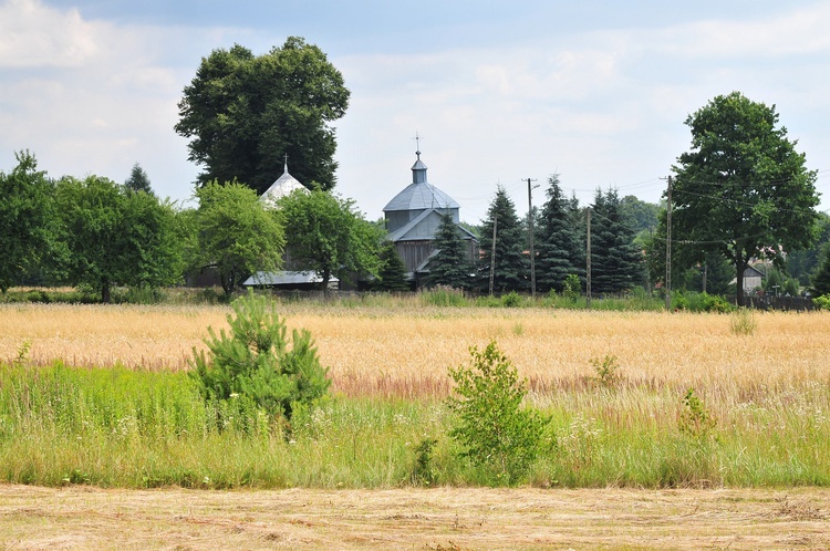 Pierwsza piesza pielgrzymka śladami św. Brata Alberta i klasztorów bazyliańskich