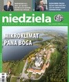 Niedziela 29/2017