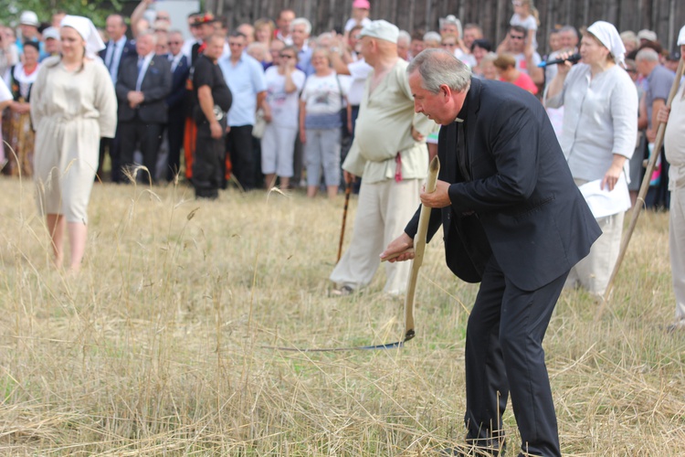 Łowickie Żniwa w skansnie w Maurzycach