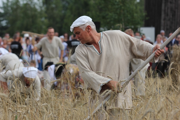 Łowickie Żniwa w skansnie w Maurzycach