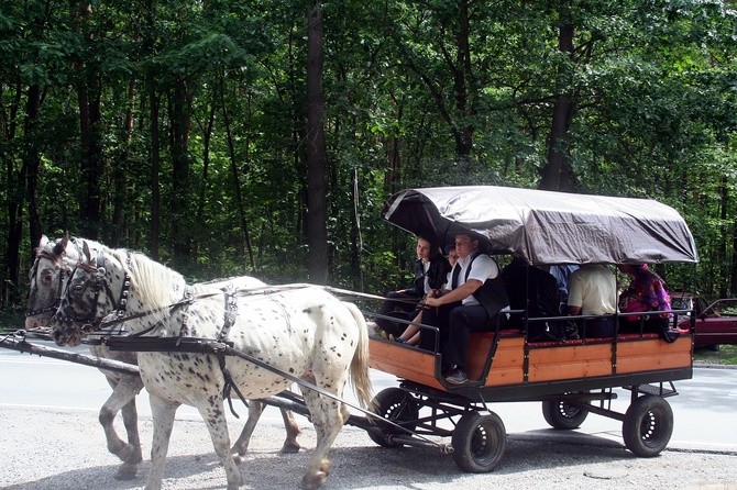 Międzynarodowy Tabor Pamięci Romów