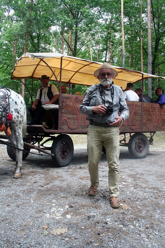 Międzynarodowy Tabor Pamięci Romów