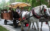 Międzynarodowy Tabor Pamięci Romów