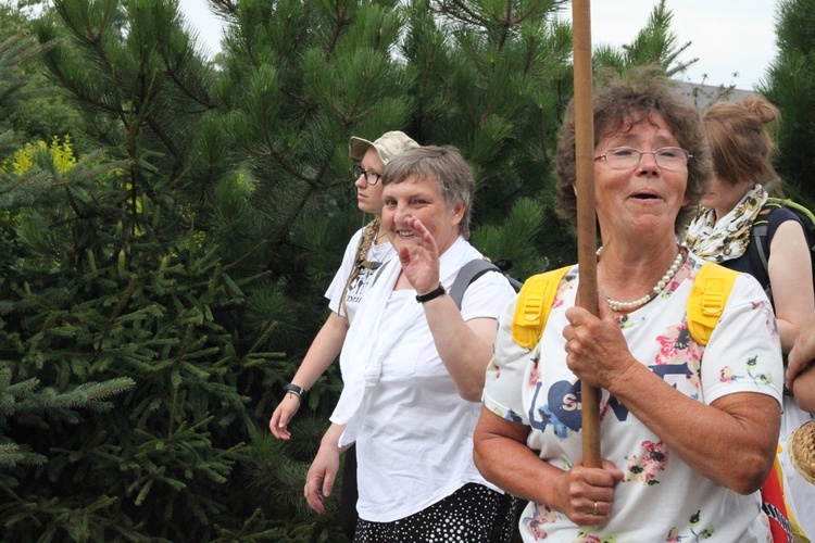 W okolicy Oleśnicy - przed i po