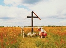 Pusta polana przed 20 laty i samotny krzyż.
