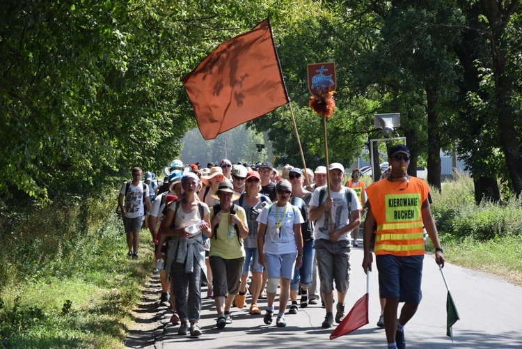 Grupa brązowa