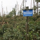 Jest śledztwo w sprawie tragedii na obozie harcerskim w Suszku