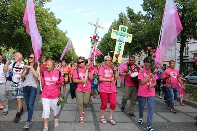 Pielgrzymka diecezji radomskiej - kolumny: opoczyńska, skarżyska i starachowicka