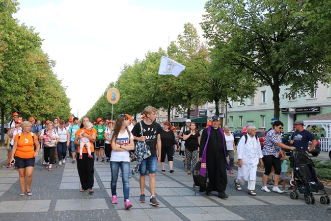 Pielgrzymka diecezji radomskiej - kolumny: opoczyńska, skarżyska i starachowicka