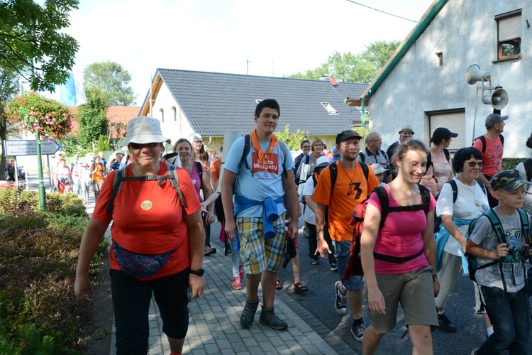 Strumień opolski w Kamieniu Śląskim