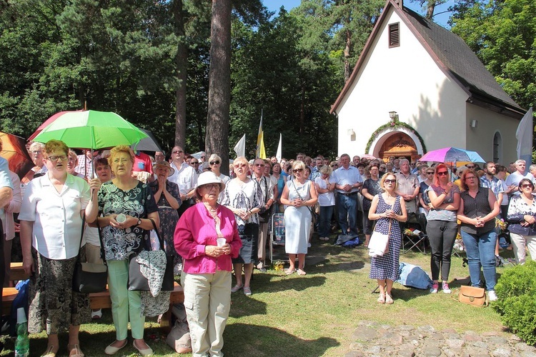 Diecezjalna Pielgrzymka Rodzin