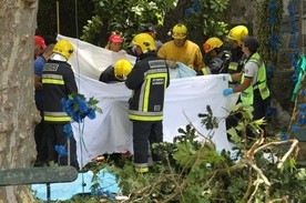 Portugalia: Do 13 wzrosła liczba zabitych w wyniku upadku drzewa na Maderze