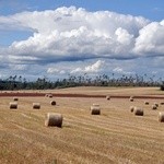 Pomoc w usuwaniu skutków wichury na Pomorzu