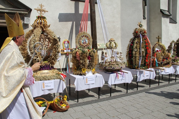 Dożynki wojewódzkie w Bobowej