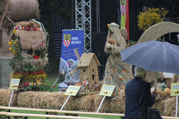 Dożynki diecezjalne 2017