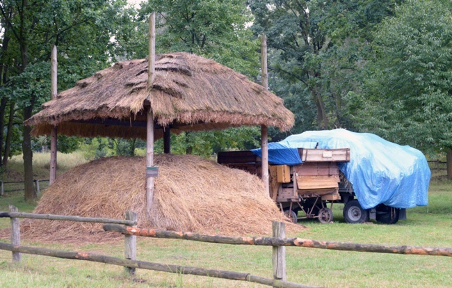 XIX Święto Chleba w Radomiu