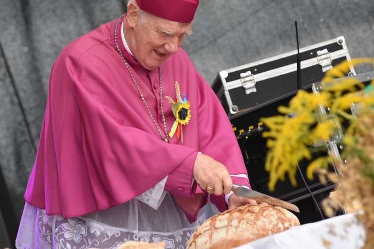 Dożynki diecezjalne w Lutomii Dolnej