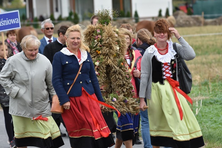 Dożynki diecezjalne w Lutomii Dolnej