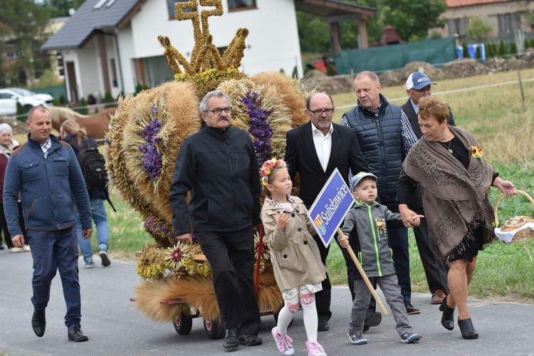 Dożynki diecezjalne w Lutomii Dolnej