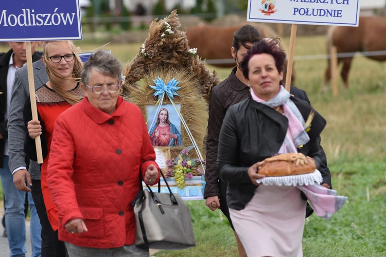 Dożynki diecezjalne w Lutomii Dolnej