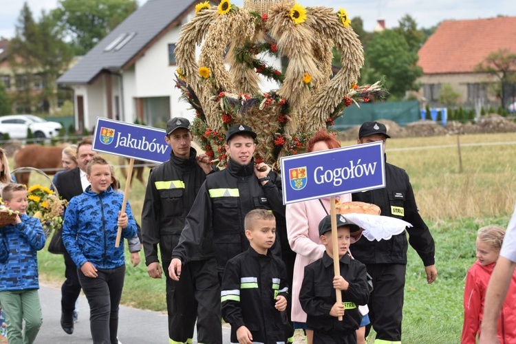 Dożynki diecezjalne w Lutomii Dolnej