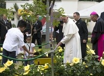 Parque do los Fundadores, papież sadzi drzewo, symbol nowego życia
