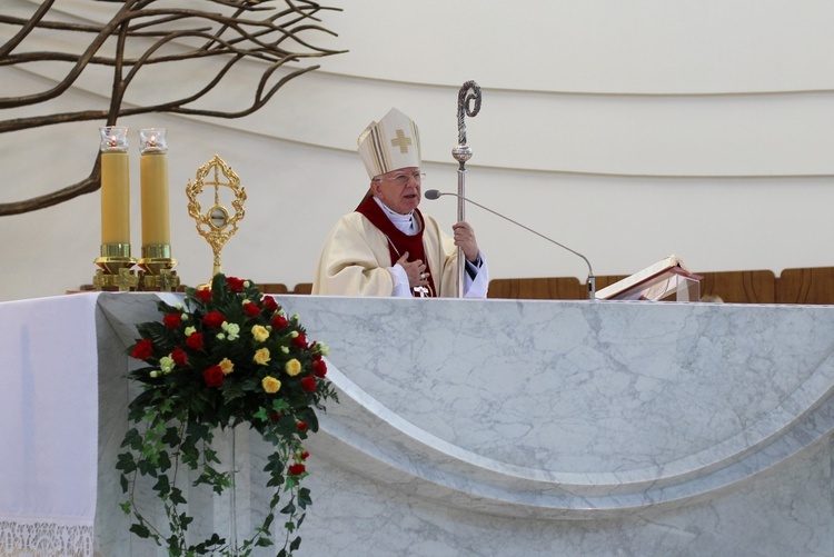 XV Pielgrzymka Kolejarzy do sanktuarium Bożego Miłosierdzia