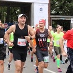 Wrocławski maraton