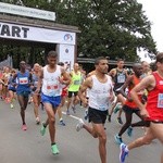 Wrocławski maraton