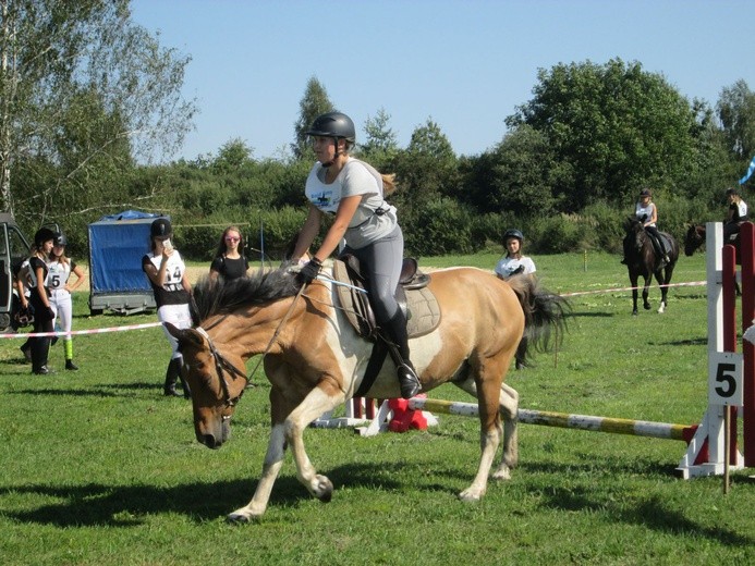 Galop wśród firanek