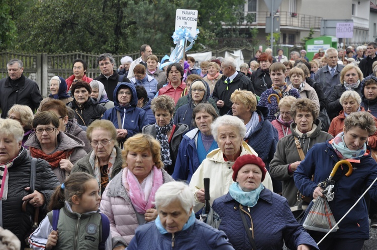 XIII Pielgrzymka Kół Żywego Różańca