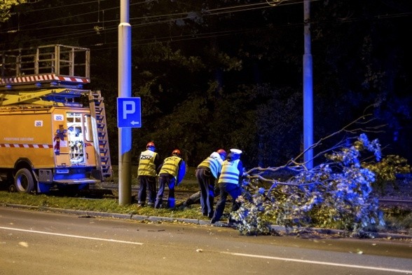 Kolejarze usuwają skutki anomalii pogodowych