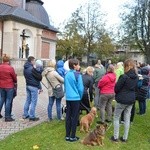 Nabożeństwo z udziałem zwierząt