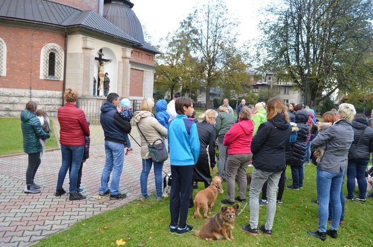 Nabożeństwo z udziałem zwierząt