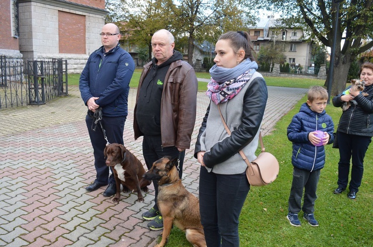 Nabożeństwo z udziałem zwierząt