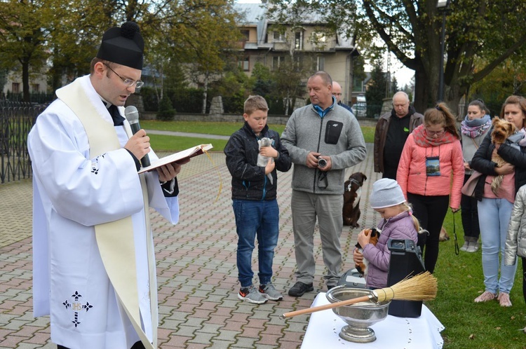 Nabożeństwo z udziałem zwierząt