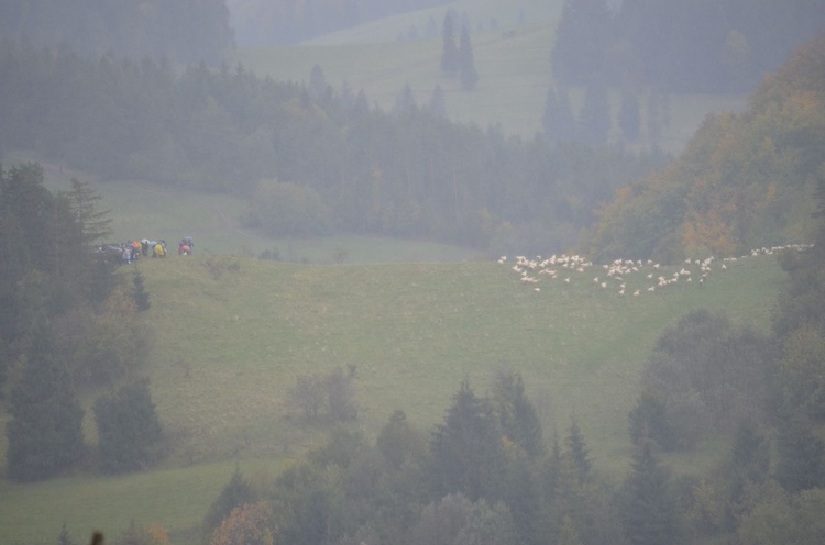 Szczawnica - Różaniec do Granic