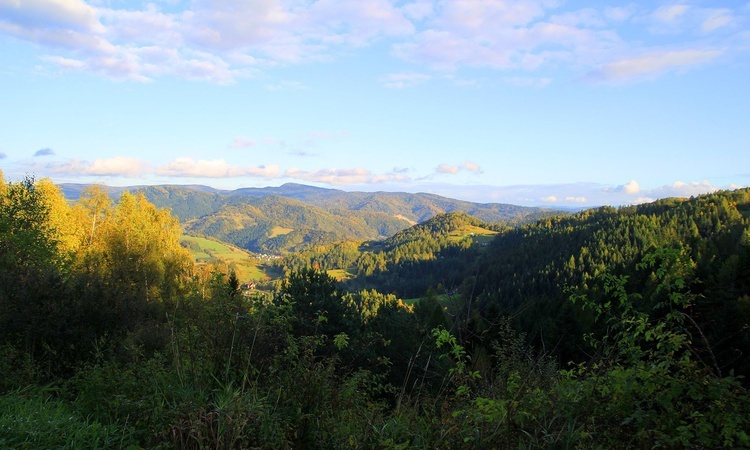 Piwniczna, Piwowarówka - Różaniec do Granic