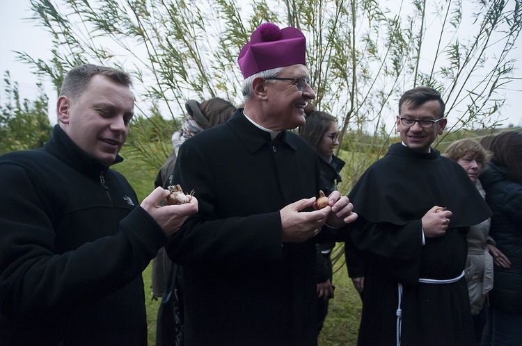 Pola Nadziei w Darłowie